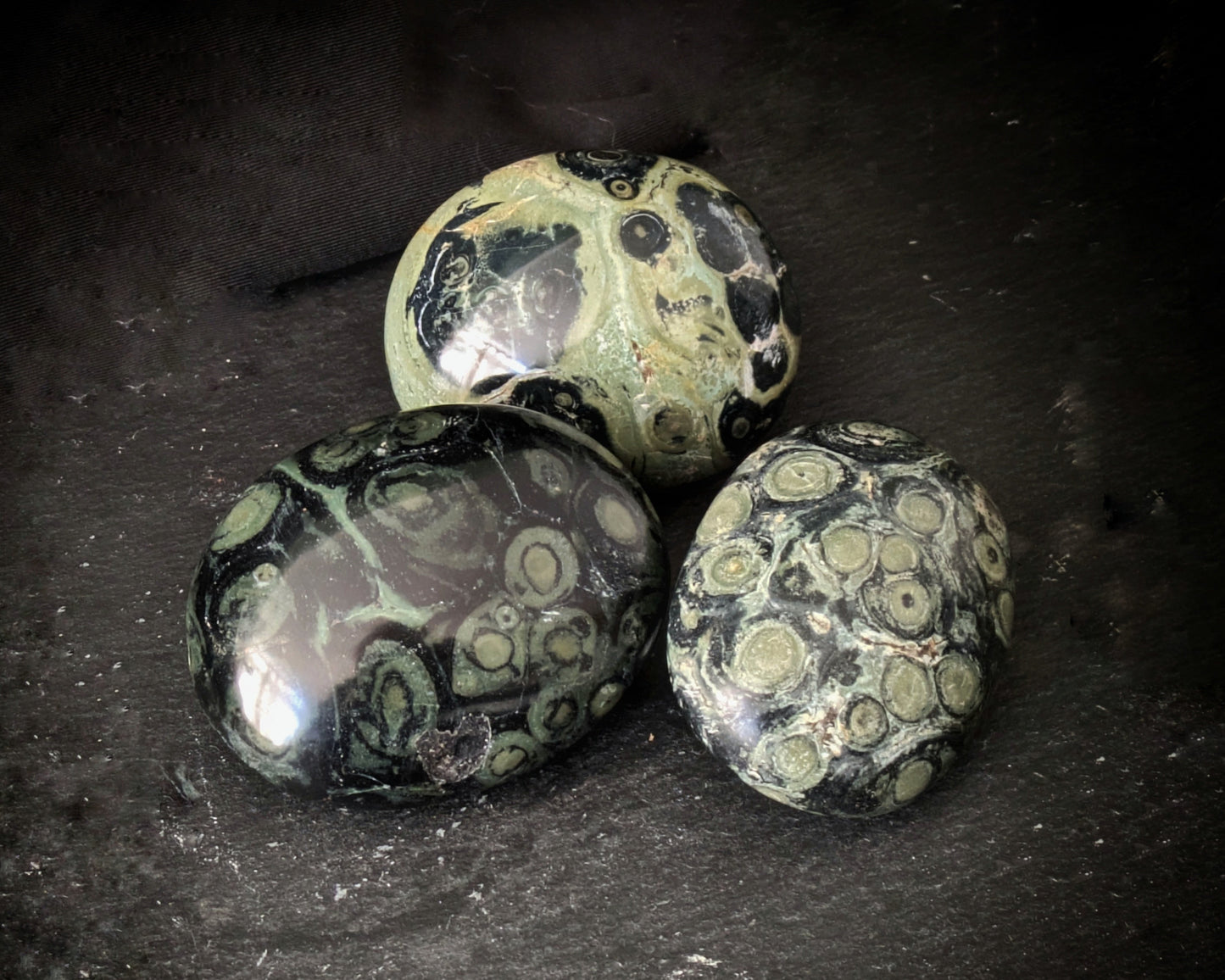 Kambaba Jasper Palmstone