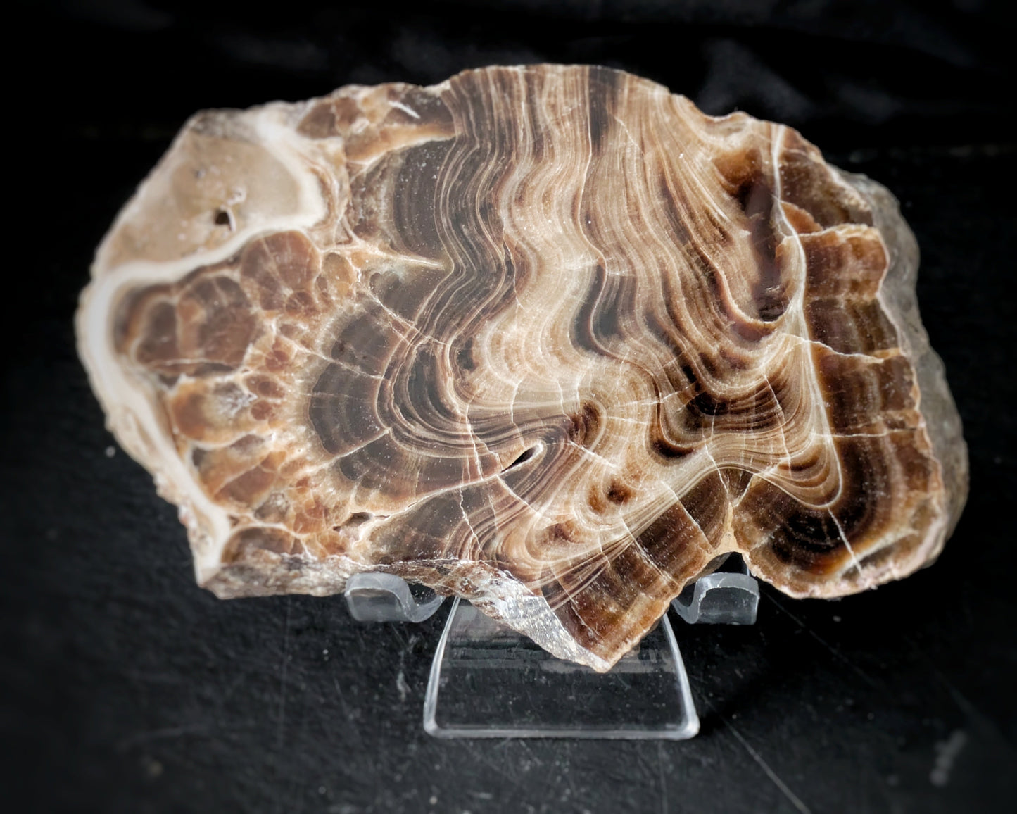 Chocolate Calcite Free Form 6