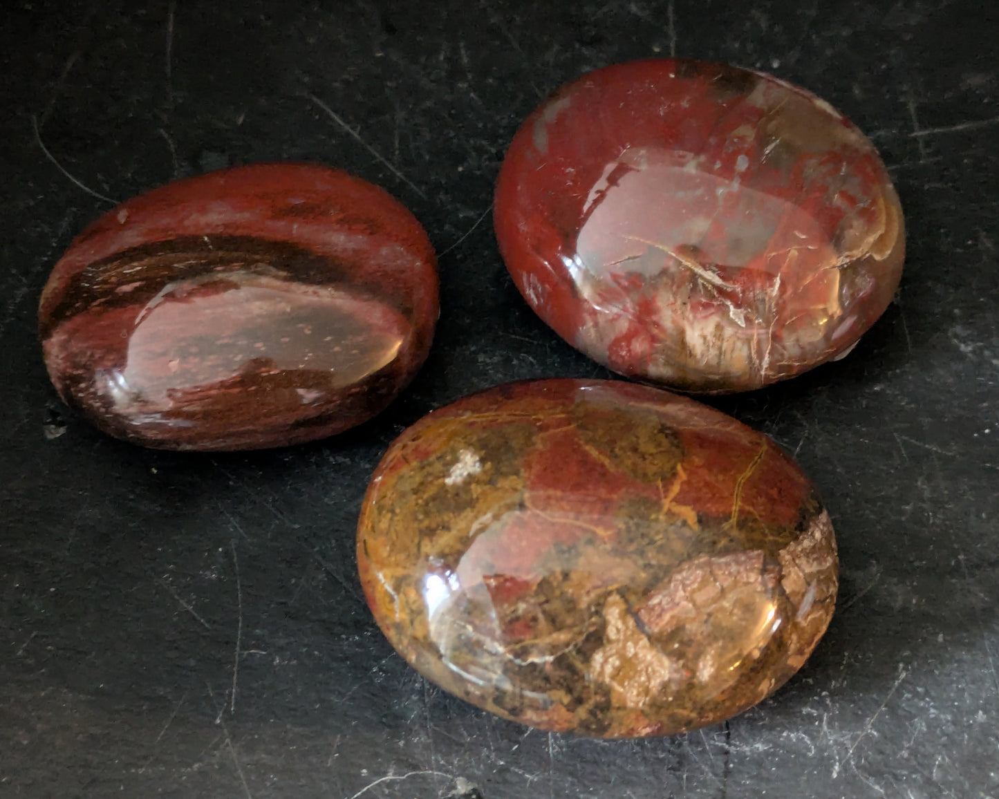Petrified Wood Medium Palmstone