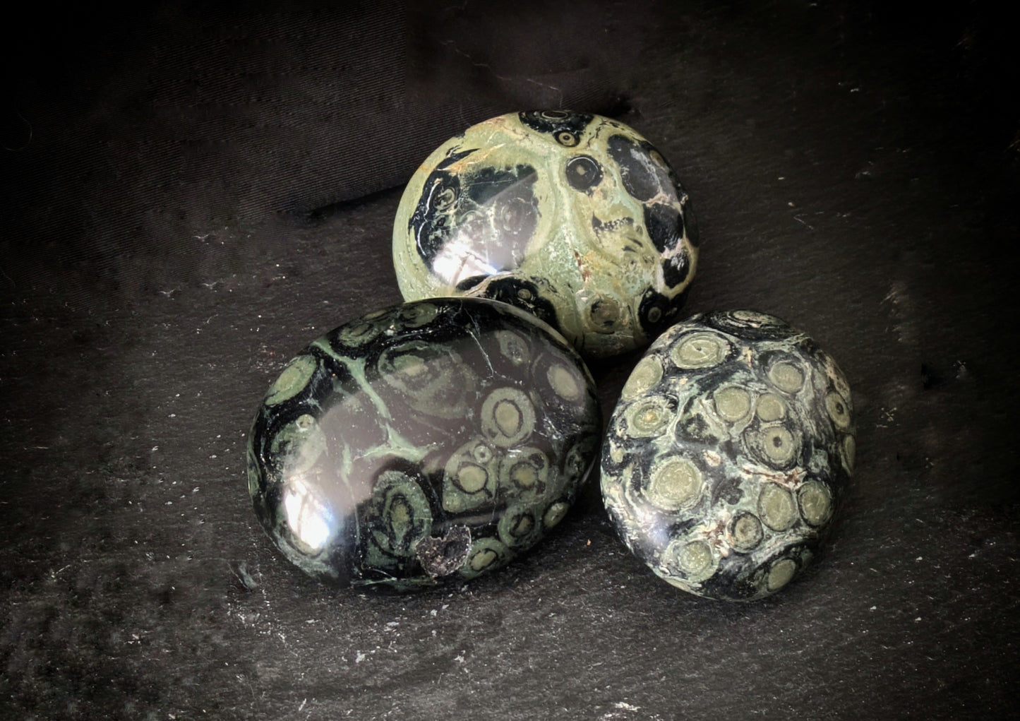 Kambaba Jasper Palmstone