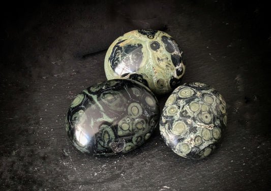 Kambaba Jasper Palmstone