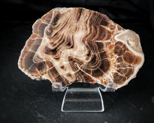 Chocolate Calcite Free Form 5