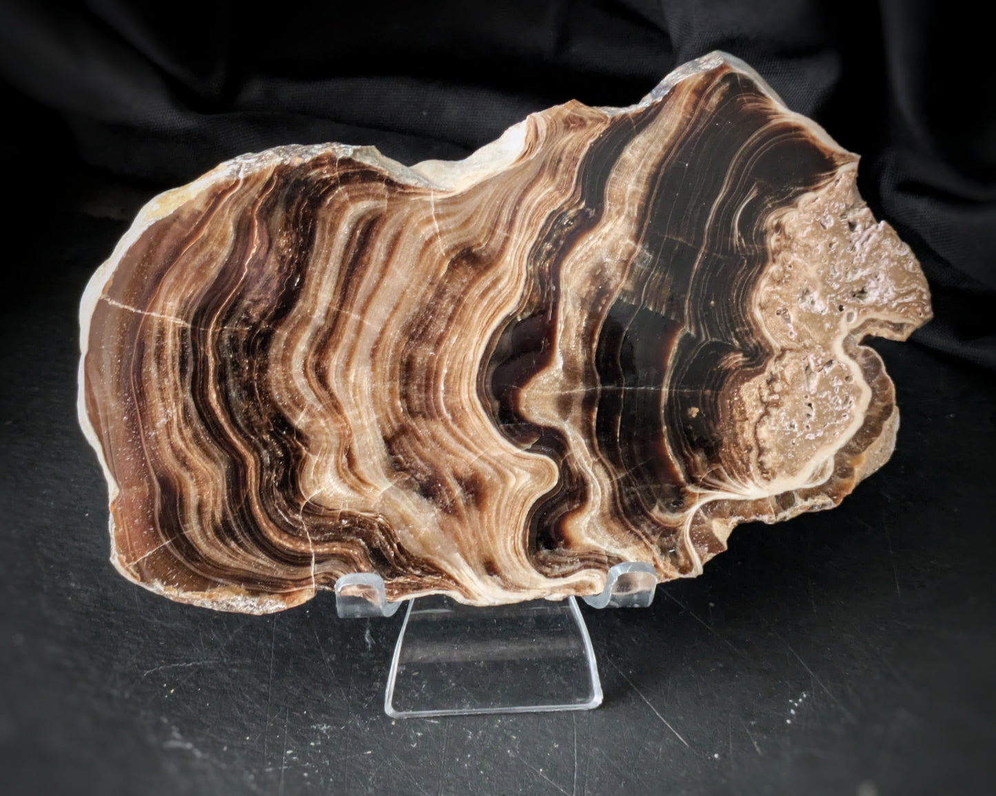 Chocolate Calcite Free Form 7