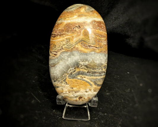 Brown Aragonite Palmstone