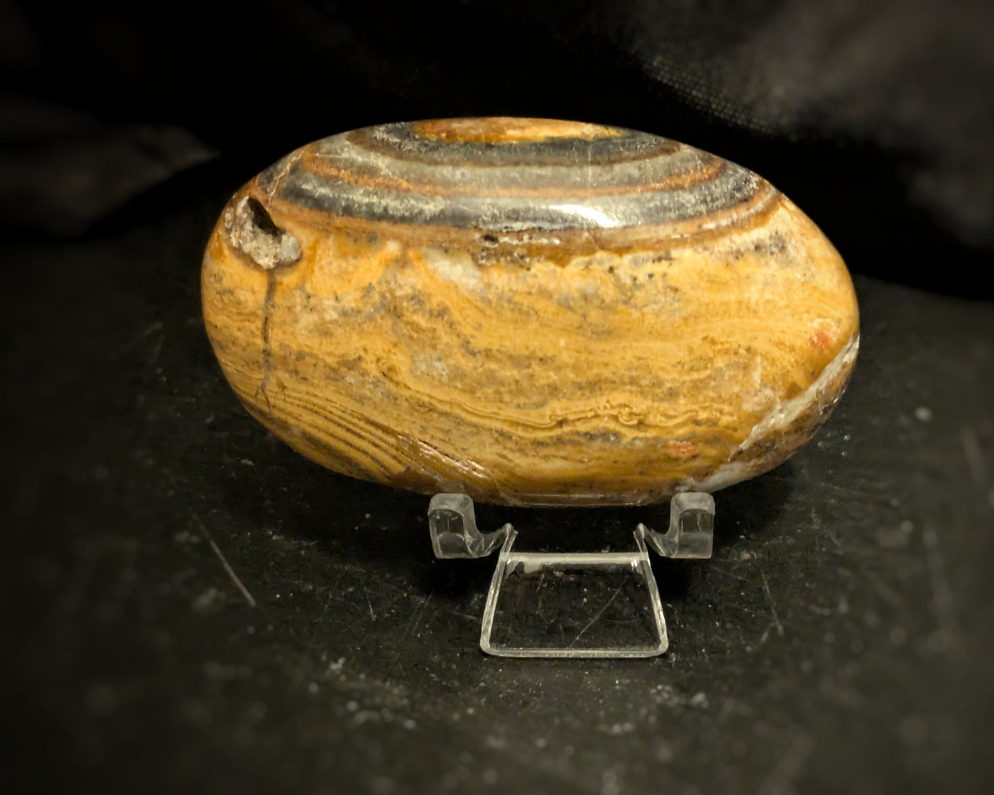 Brown Aragonite Palmstone