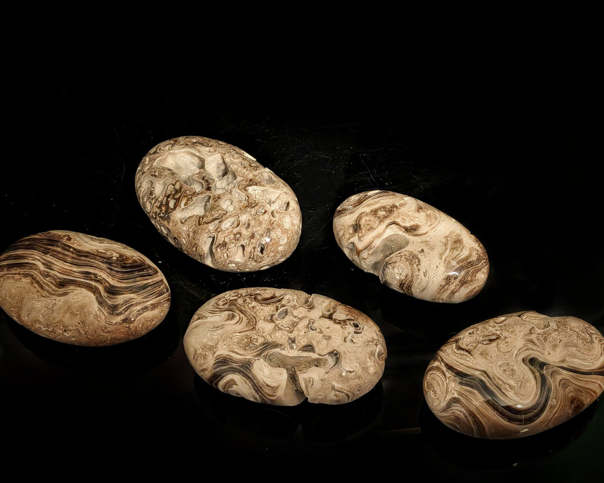 Chocolate Calcite Palmstone