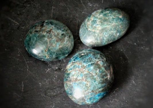 Apatite Palmstone