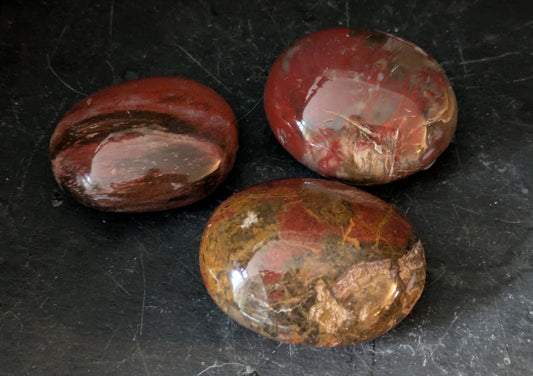 Petrified Wood Medium Palmstone