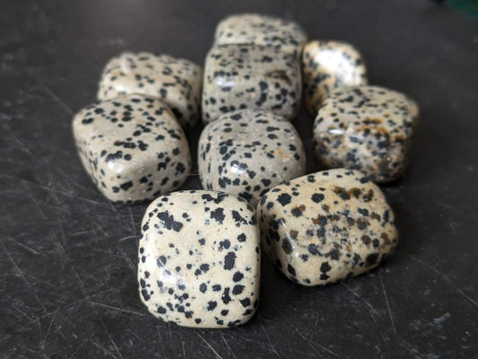 Dalmation Jasper Tumblestones