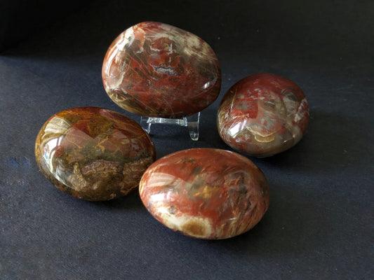 Petrified Wood Large Palmstone